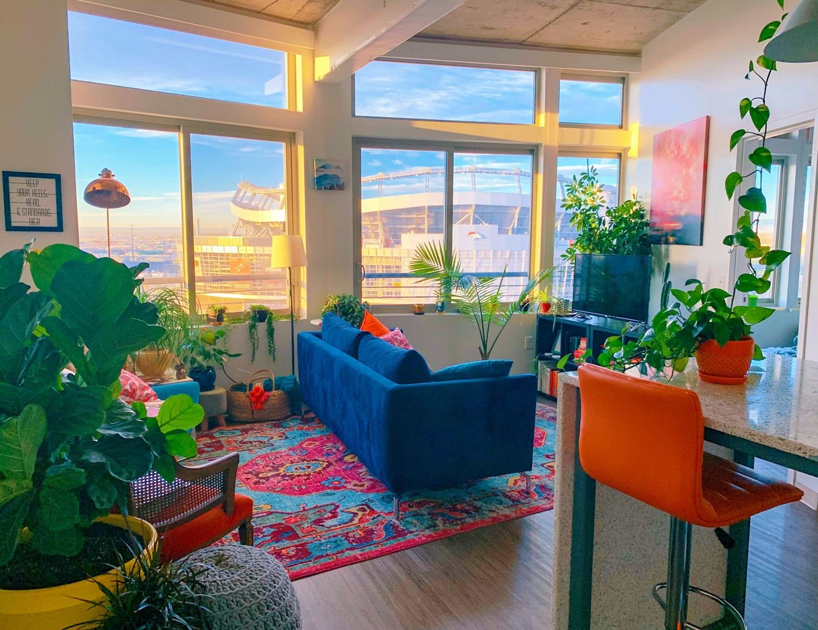 A sunny living room with a blue sofa and colorful rug