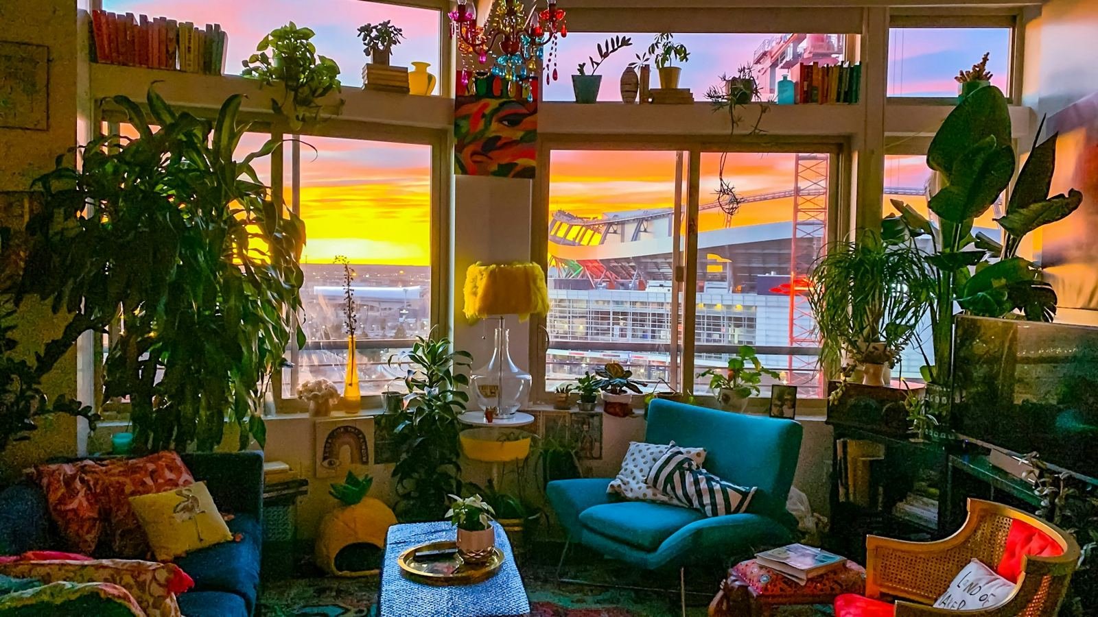 A plant-filled living room glowing at sunset